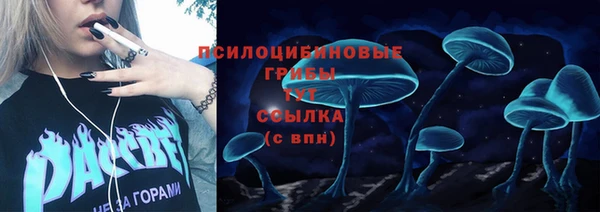 сатива Новокубанск