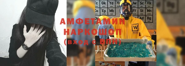 сатива Новокубанск