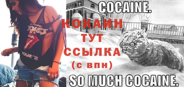 сатива Новокубанск