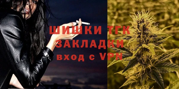сатива Новокубанск