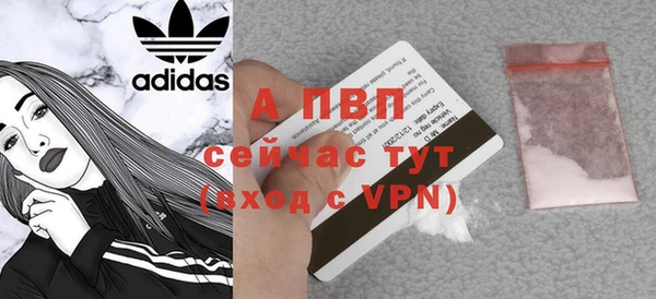 сатива Новокубанск