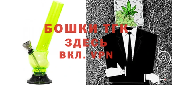 сатива Новокубанск