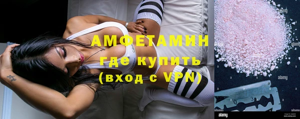 сатива Новокубанск