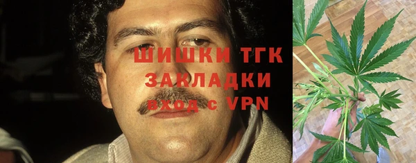 сатива Новокубанск