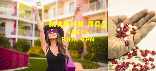 сатива Новокубанск