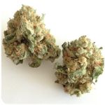 Шишки "White Widow"  (Белая вдова)  Гидропоника -  Бошка VHQ в Печорах